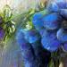 Fleurs bleu